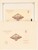 Kavel 3361 (446)