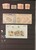 Lot 3305 (8)
