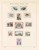 Lot 3079 (113)
