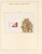 Lot 3079 (202)