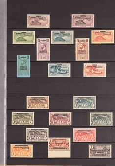 Lot 3181