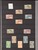 Lot 3181 (12)
