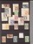 Lot 3181 (16)