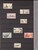 Lot 3181 (22)
