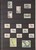 Lot 3181 (74)