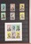 Lot 3181 (197)