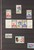 Lot 3181 (206)
