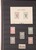 Lot 3181 (257)