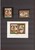 Lot 3181 (300)