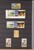 Lot 3181 (370)