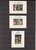 Lot 3181 (480)