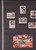Lot 3181 (504)