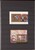 Lot 3181 (574)