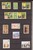 Lot 3181 (1008)