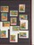 Lot 3181 (1170)