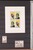 Lot 3181 (1303)