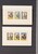 Lot 3181 (1544)