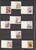 Lot 3181 (1555)