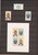 Lot 3181 (2416)
