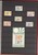 Kavel 3181 (2851)