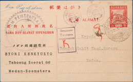 Kavel 4093