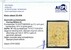 Kavel 2795 (2)