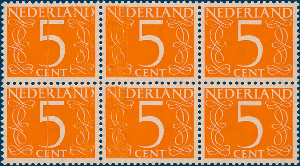 Kavel 5542