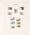 Kavel 4421 (239)