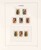 Kavel 4514 (95)