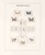 Kavel 4514 (219)
