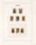 Lot 4563 (48)