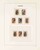 Kavel 4562 (23)
