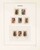 Kavel 4562 (24)