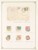 Kavel 4313 (167)