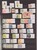 Lot 3008 (3)