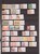 Lot 3008 (5)