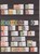 Lot 3008 (8)