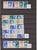 Lot 3008 (23)