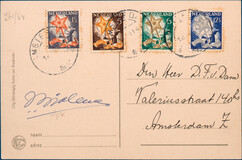 Lot 2894