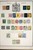 Lot 3002 (10)