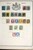 Lot 3002 (13)