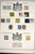 Lot 3002 (15)