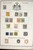 Lot 3002 (16)