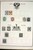 Lot 3002 (17)