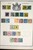 Lot 3002 (18)
