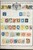 Lot 3002 (23)