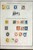 Lot 3002 (24)