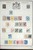 Lot 3002 (28)