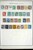 Lot 3002 (32)