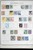 Lot 3002 (43)
